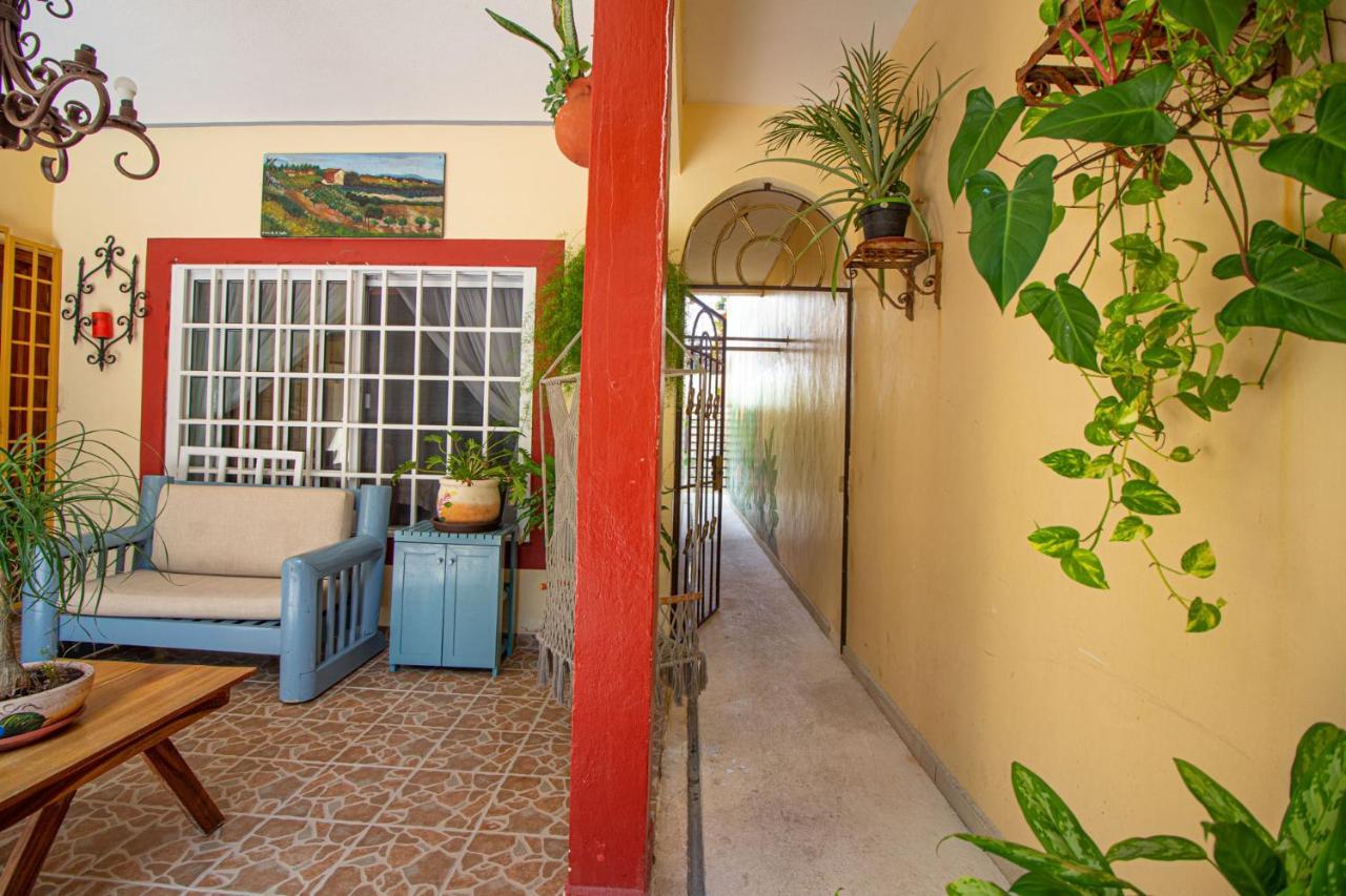 ホテル La Casa Del Almendro プレヤデルカーメン エクステリア 写真