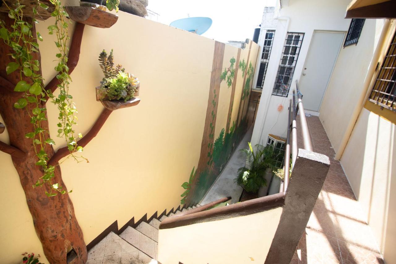 ホテル La Casa Del Almendro プレヤデルカーメン エクステリア 写真