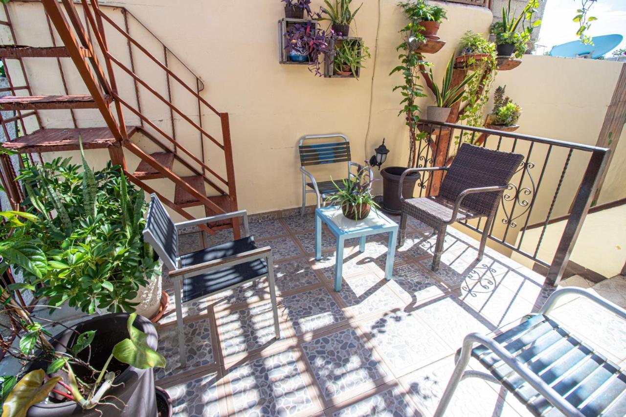 ホテル La Casa Del Almendro プレヤデルカーメン エクステリア 写真
